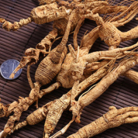 Ginseng moved to the mountain, ginseng forest, ginseng remnant branch, wild ginseng remnant branch,